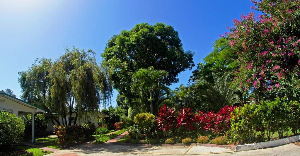 Hotel La Rosa De America Alajuela Exteriér fotografie