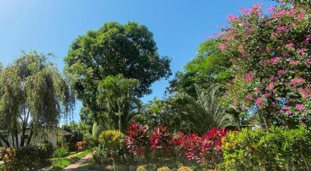 Hotel La Rosa De America Alajuela Exteriér fotografie