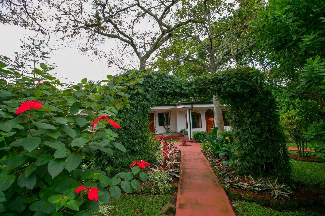 Hotel La Rosa De America Alajuela Exteriér fotografie